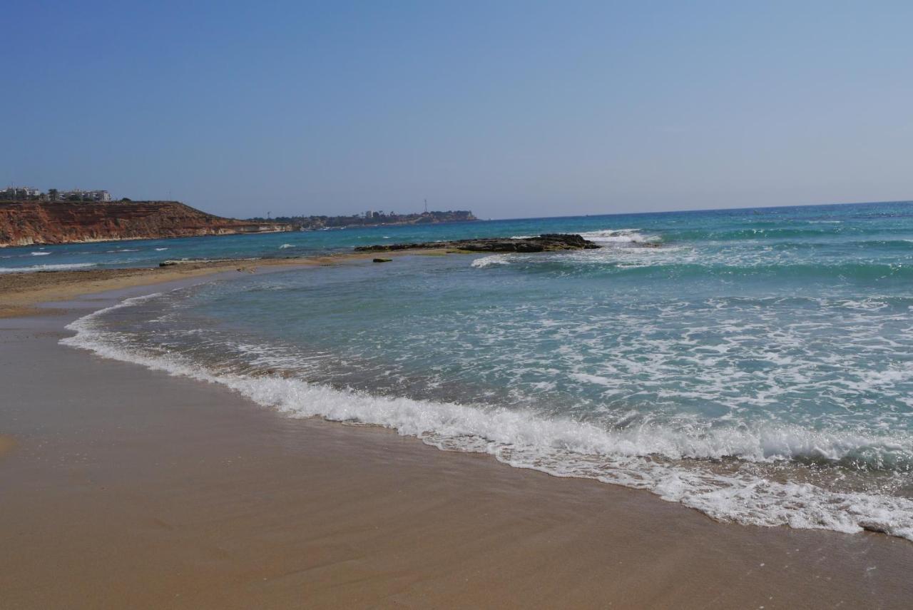 Casa Mazal, Lujosa Villa Independiente A 150M Del Mar Pilar de la Horadada Dış mekan fotoğraf